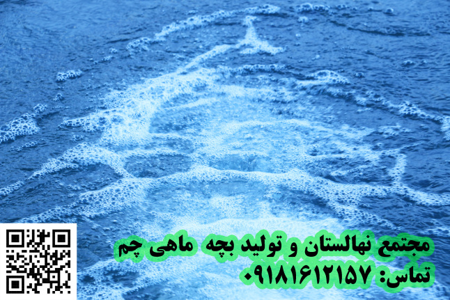 استخر ماهی